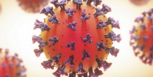 




Черкащина знову серед лідерів з кількості нових заражень коронавірусом


