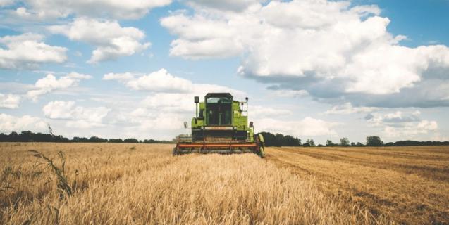 




Уряд затвердив порядок використання 1,5 млрд грн на підтримку малих сільгоспвиробників


